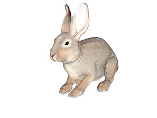 精品动物模型兔子 (2)